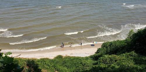 A view of a beach with gentle waves, where people are walking along the shore near green vegetation.