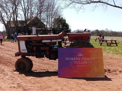 A red tractor next to a colorful sign for Hubert Family Tulips, with people and trees in the background.