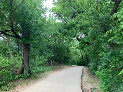 A serene, tree-lined path winding through lush greenery in a peaceful outdoor setting.