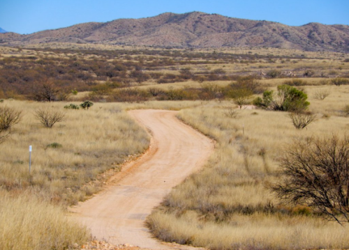 A winding dirt road through a dry, grassy landscape with distant mountains under a clear blue sky.