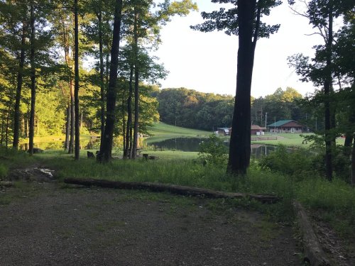 A serene view of a pond surrounded by trees, with a grassy area and a building in the background.