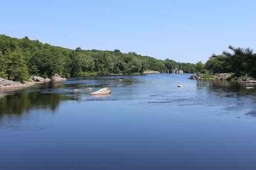 A calm river flows through a lush green landscape under a clear blue sky, with rocks scattered across the water.