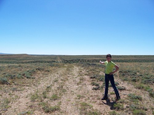 A child in a green shirt stands on a dirt path, pointing towards a vast, open landscape under a clear blue sky.