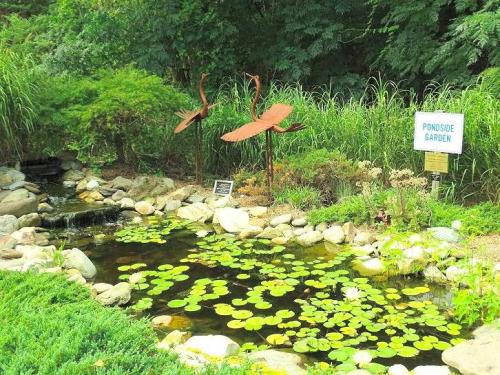 A serene pondside garden with lily pads, rocks, and metal sculptures of cranes surrounded by lush greenery.