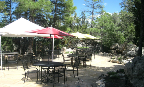 Outdoor seating area with black tables and chairs, shaded by colorful umbrellas, surrounded by trees and greenery.