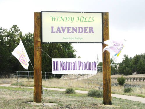 Sign for "Windy Hills Lavender" farm outlet boutique, promoting all-natural products, with flags and a natural landscape.