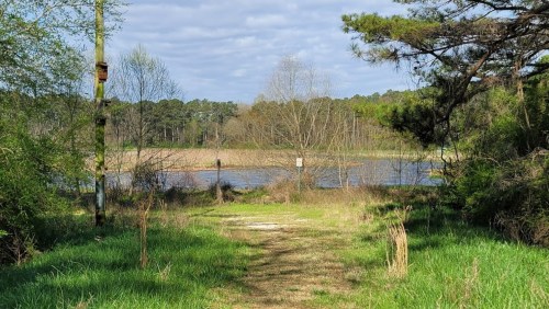 A grassy path leads to a calm river surrounded by trees and a cloudy sky in the background.