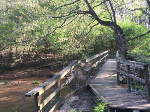 A wooden bridge crosses a serene stream, surrounded by lush green trees and foliage in a peaceful natural setting.