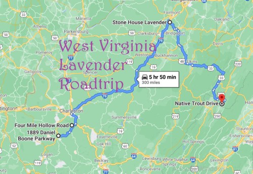 Map of a West Virginia lavender road trip, highlighting key locations and routes. Total distance: 300 miles.