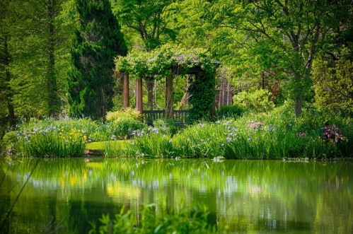 A serene garden with a gazebo surrounded by lush greenery and colorful flowers reflected in a calm pond.