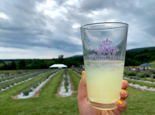 A hand holding a clear glass of lemonade in front of a scenic field with rows of plants and a cloudy sky.