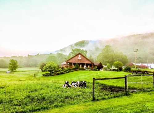 A serene farm scene with a wooden building, lush green fields, and misty mountains in the background.