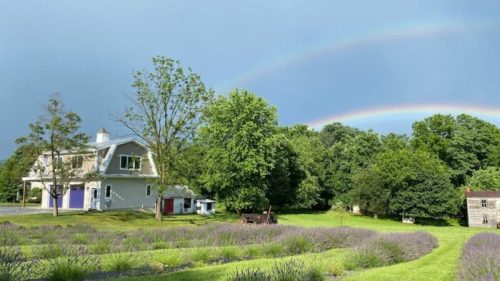 A scenic view of a house surrounded by lush greenery and lavender fields, with a double rainbow in the sky.