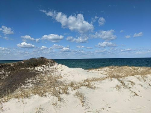A sandy beach with grass, dunes, and a clear blue sky filled with fluffy clouds over the ocean.