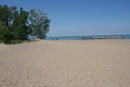 A sandy beach with sparse trees and a calm blue lake under a clear sky. A rocky jetty is visible in the distance.