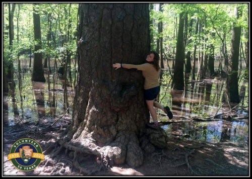 A person hugs a large tree in a lush, green forest with water reflecting the trees around them.