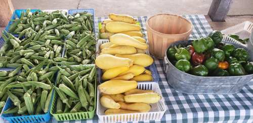 Fresh vegetables at a market: baskets of okra, yellow squash, and green bell peppers on a checkered tablecloth.