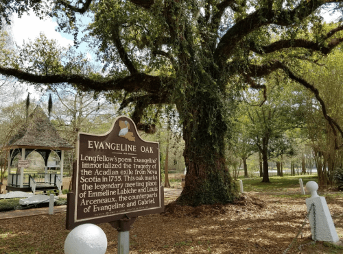Sign for Evangeline Oak, with a large tree and gazebo in a park, referencing Longfellow's poem about Acadian exiles.