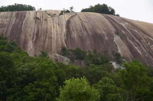 A large, smooth rock face rises above a lush green forest, with trees clinging to its edges.
