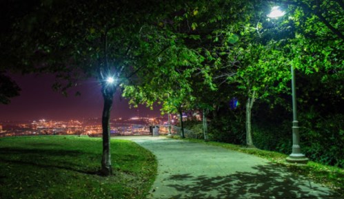 A dimly lit park path surrounded by trees, with city lights visible in the background at night.