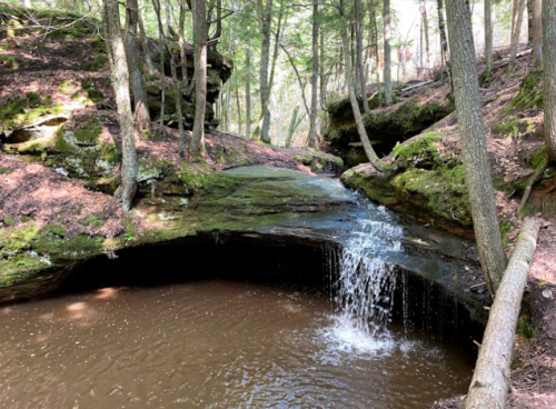 A serene forest scene featuring a small waterfall cascading into a calm pool, surrounded by lush greenery and rocky cliffs.