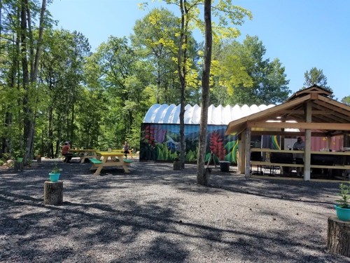 A colorful building surrounded by trees, picnic tables, and a wooden structure in a sunny outdoor setting.