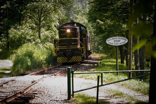 A vintage train approaches a railroad crossing sign surrounded by lush greenery.