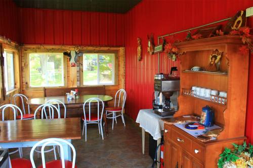 Cozy café interior with red walls, wooden tables, chairs, and a coffee station against a sunny window view.