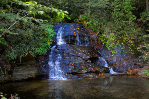 A serene waterfall cascades over rocks into a calm pool, surrounded by lush greenery and autumn leaves.