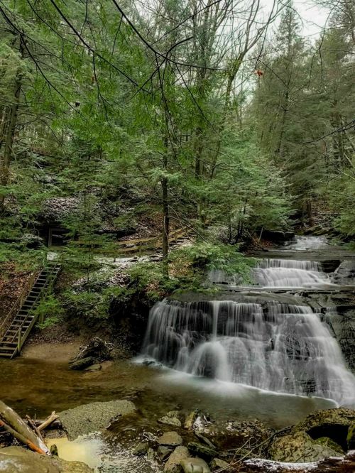 A serene forest scene featuring a cascading waterfall surrounded by lush greenery and rocky terrain.
