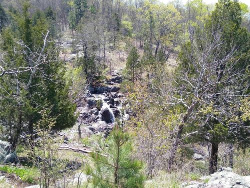 A serene landscape featuring a small waterfall surrounded by trees and rocky terrain in a lush, green setting.
