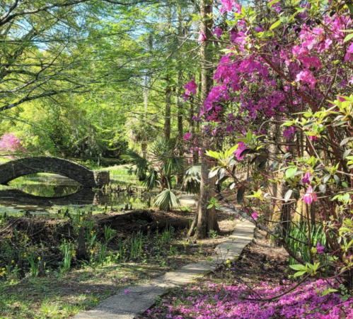 A serene garden path lined with vibrant pink flowers, leading to a stone bridge over a tranquil pond.