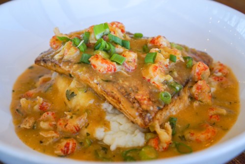 A plate of fish topped with shrimp in a creamy sauce, served over mashed potatoes and garnished with green onions.