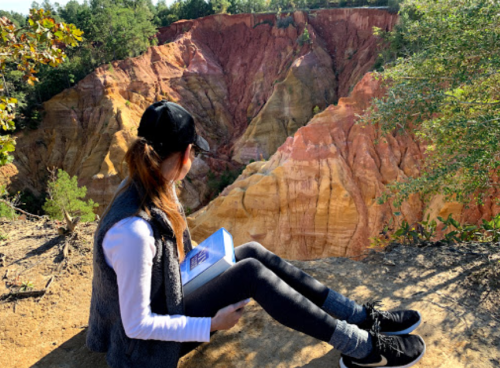 A person sits on a ledge overlooking a colorful canyon, holding a book, surrounded by trees and vibrant rock formations.