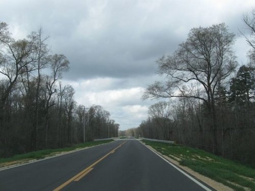 A straight road lined with bare trees under a cloudy sky, leading into the distance.