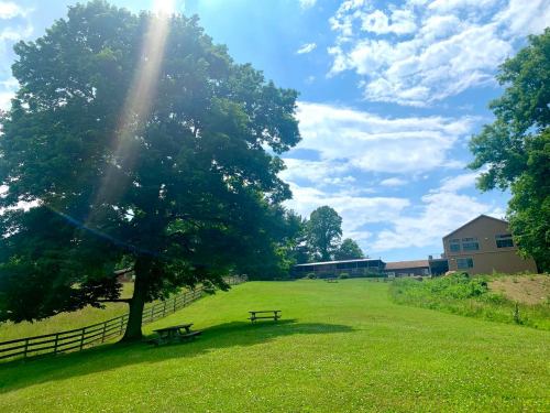 A sunny landscape featuring a large tree, green grass, picnic tables, and a building in the background under a blue sky.
