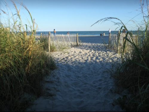 A sandy path leads to the beach, framed by tall grass and a wooden fence, with people enjoying the ocean in the distance.