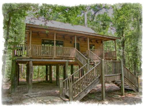 A wooden cabin on stilts surrounded by trees, featuring a porch and stairs leading up to the entrance.