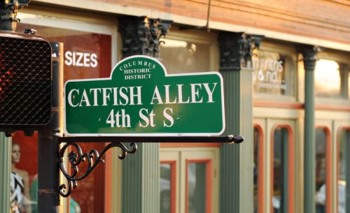Green street sign reading "Catfish Alley 4th St S" in a historic district, with a shop window in the background.