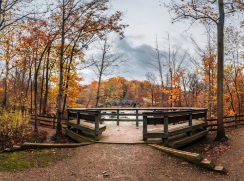 A wooden viewing platform surrounded by colorful autumn trees overlooking a calm body of water.
