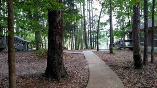 A winding path through a wooded area, with cabins visible among the trees.