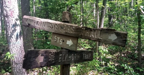 Wooden signpost in a forest, pointing to "Twin Sisters Trail" and "Elk Horn Trail" with arrows indicating directions.