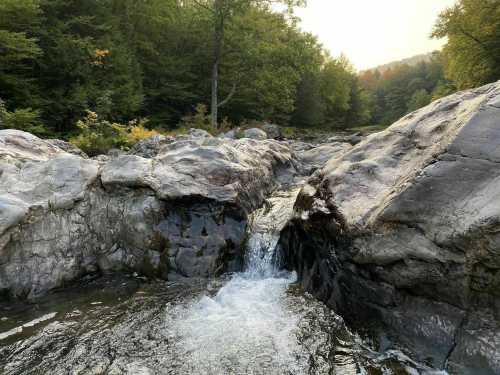 A serene river flows between rocky formations, surrounded by lush green trees and a hint of autumn colors in the background.