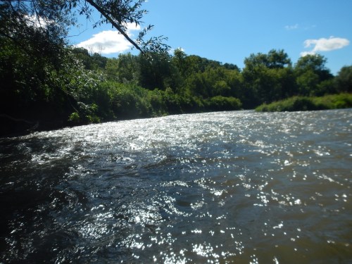 A shimmering river flows through a lush green landscape under a bright blue sky with scattered clouds.