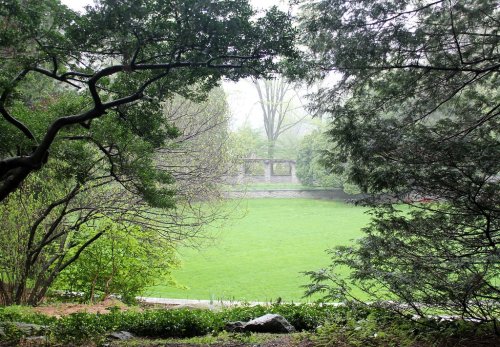 A misty garden scene with lush greenery and a stone pathway leading to a grassy area in the background.