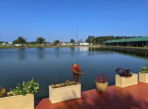 A serene lake view with colorful flower pots along the edge, surrounded by greenery and clear blue skies.