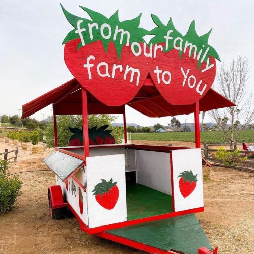 A colorful strawberry-themed farm stand with a sign reading "from our family farm to You."