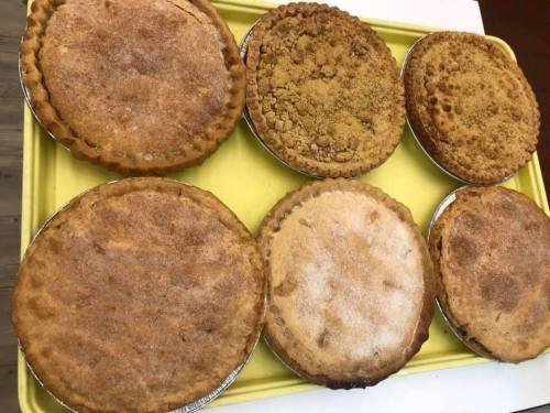 A tray of six freshly baked pies, featuring various crusts and toppings, arranged neatly on a yellow tray.