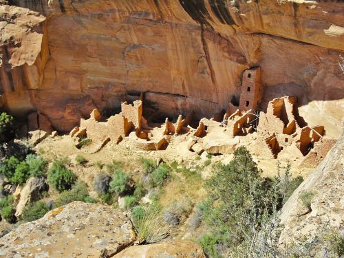 Ancient cliff dwellings nestled in a rocky canyon, surrounded by greenery and rugged terrain.