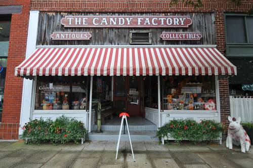 A quaint candy shop with a striped awning, showcasing antiques and collectibles, surrounded by flower beds.